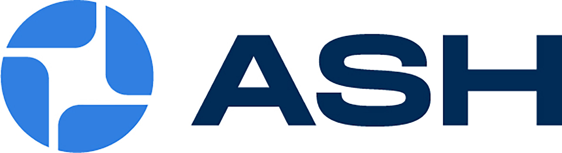 ASH VISION Logo